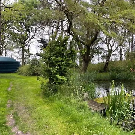 Flower Power 3* Anna Paulowna