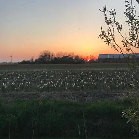 Flower Power Alojamento de Acomodação e Pequeno-almoço