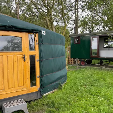 Flower Power Anna Paulowna