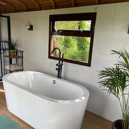 Flower Power 3* Anna Paulowna