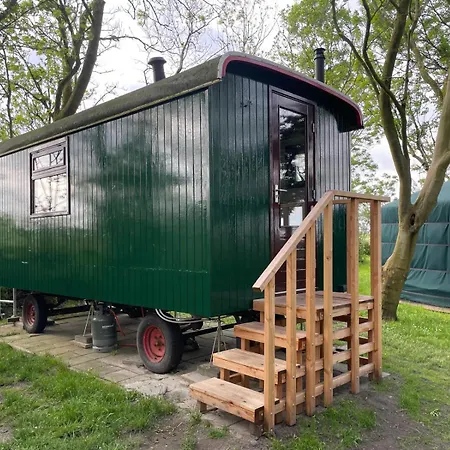 Alojamento de Acomodação e Pequeno-almoço Flower Power 3*