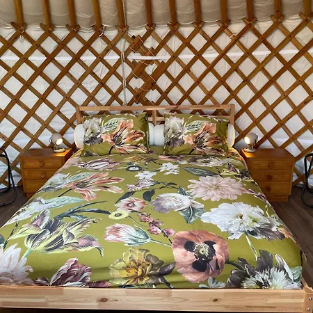 Flower Power 3* Anna Paulowna