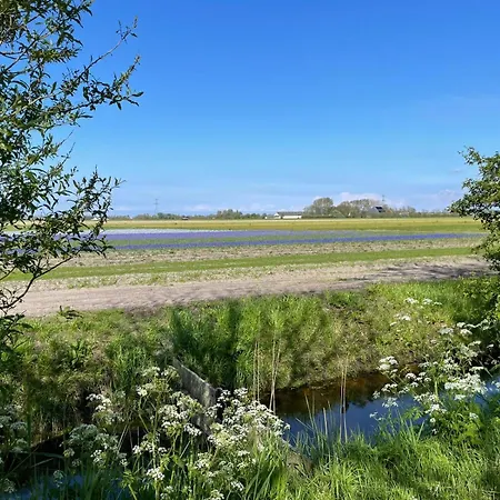 Bed & Breakfast Flower Power