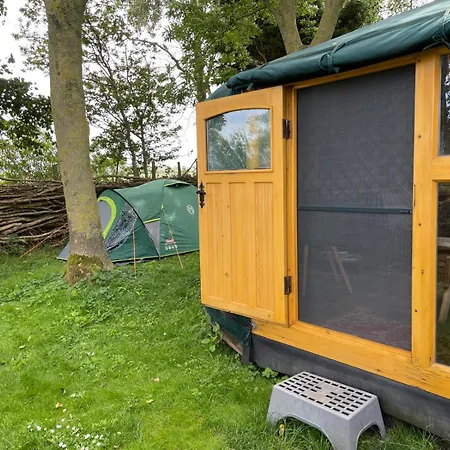 Flower Power 3* Anna Paulowna