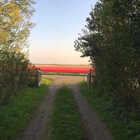 Bed and Breakfast Flower Power 3*