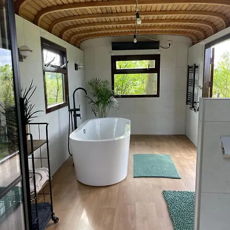 Flower Power Bed and breakfast Anna Paulowna