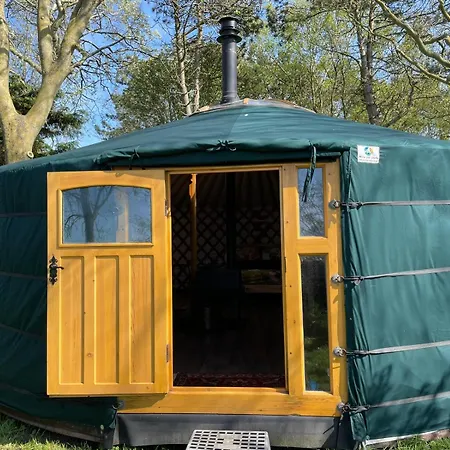 Flower Power Anna Paulowna