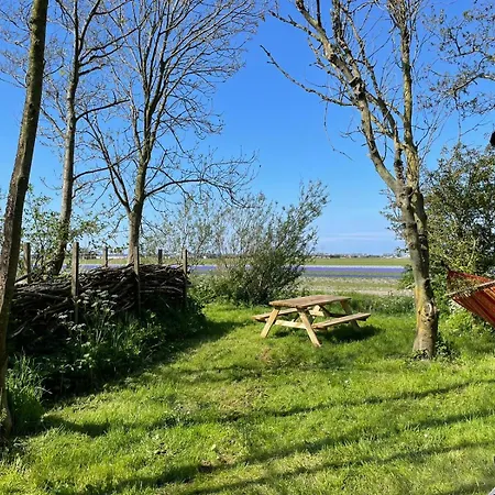 Flower Power 3* Anna Paulowna